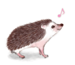 BOCKLE  -The hedgehog- sticker #10084965