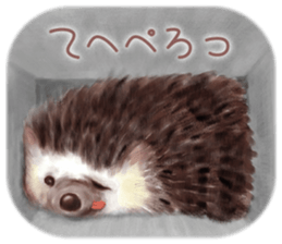 BOCKLE  -The hedgehog- sticker #10084968