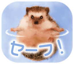 BOCKLE  -The hedgehog- sticker #10084970