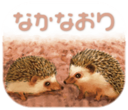 BOCKLE  -The hedgehog- sticker #10084973