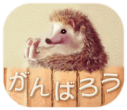 BOCKLE  -The hedgehog- sticker #10084974