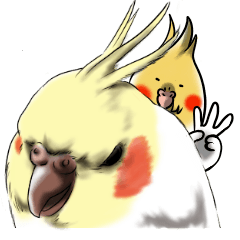 Creatures such as the cockatiel 3