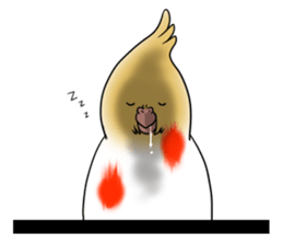Creatures such as the cockatiel 3 sticker #10085470