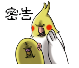 Creatures such as the cockatiel 3 sticker #10085473
