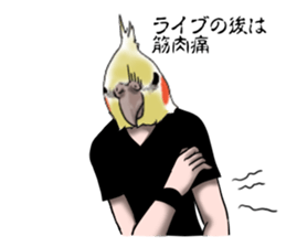 Creatures such as the cockatiel 3 sticker #10085489