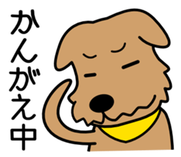 Norfolk Terrier sticker #10086149