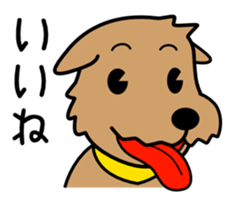 Norfolk Terrier sticker #10086159