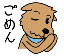 Norfolk Terrier sticker #10086160