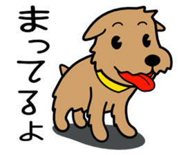 Norfolk Terrier sticker #10086164