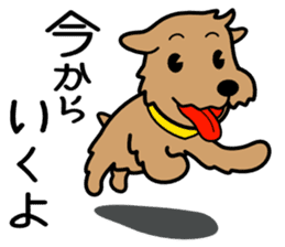 Norfolk Terrier sticker #10086165