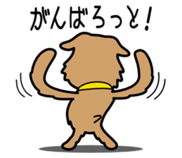 Norfolk Terrier sticker #10086173