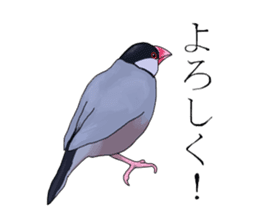 Daily life of a paddybird sticker #10089656