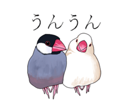 Daily life of a paddybird sticker #10089657