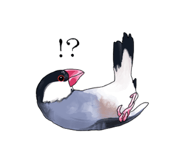 Daily life of a paddybird sticker #10089658