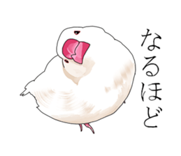 Daily life of a paddybird sticker #10089659