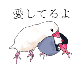 Daily life of a paddybird sticker #10089660