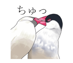 Daily life of a paddybird sticker #10089661