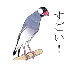 Daily life of a paddybird sticker #10089662