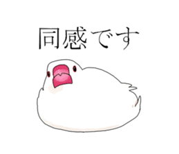 Daily life of a paddybird sticker #10089663