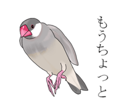 Daily life of a paddybird sticker #10089665