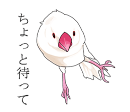 Daily life of a paddybird sticker #10089667