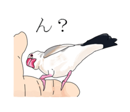 Daily life of a paddybird sticker #10089668