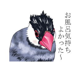 Daily life of a paddybird sticker #10089672