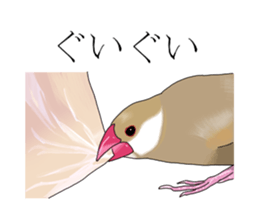 Daily life of a paddybird sticker #10089673