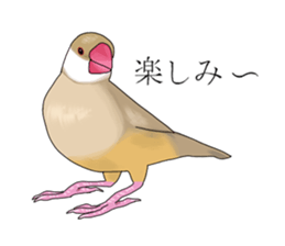 Daily life of a paddybird sticker #10089675