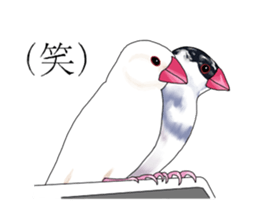 Daily life of a paddybird sticker #10089676