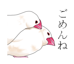 Daily life of a paddybird sticker #10089677