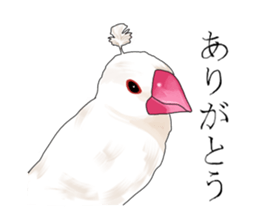 Daily life of a paddybird sticker #10089678