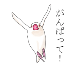 Daily life of a paddybird sticker #10089679