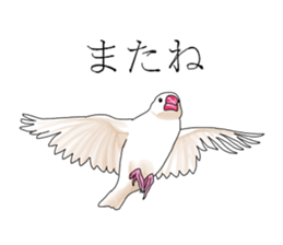 Daily life of a paddybird sticker #10089680