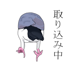 Daily life of a paddybird sticker #10089681