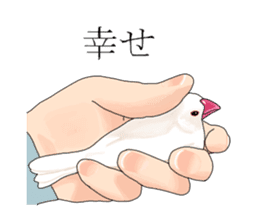 Daily life of a paddybird sticker #10089682