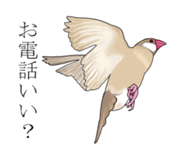 Daily life of a paddybird sticker #10089683