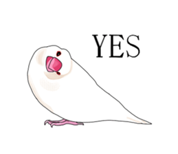 Daily life of a paddybird sticker #10089684