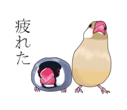 Daily life of a paddybird sticker #10089688