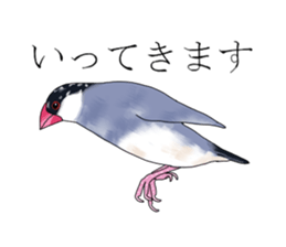 Daily life of a paddybird sticker #10089689