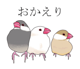 Daily life of a paddybird sticker #10089690