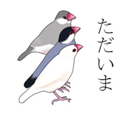 Daily life of a paddybird sticker #10089691