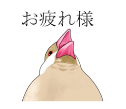 Daily life of a paddybird sticker #10089693