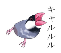 Daily life of a paddybird sticker #10089694