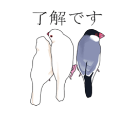 Daily life of a paddybird sticker #10089695
