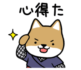 NEKO DAIKAN 3 sticker #10089964