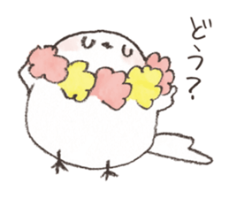 A LITTLE BIRD and WILD BIRDS sticker #10090988