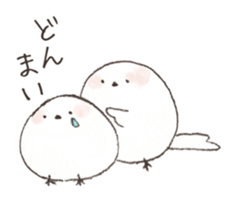 A LITTLE BIRD and WILD BIRDS sticker #10091010