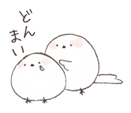 A LITTLE BIRD and WILD BIRDS sticker #10091010