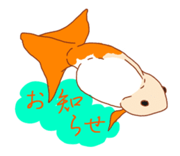 Fluttering Goldfish sticker #10093856